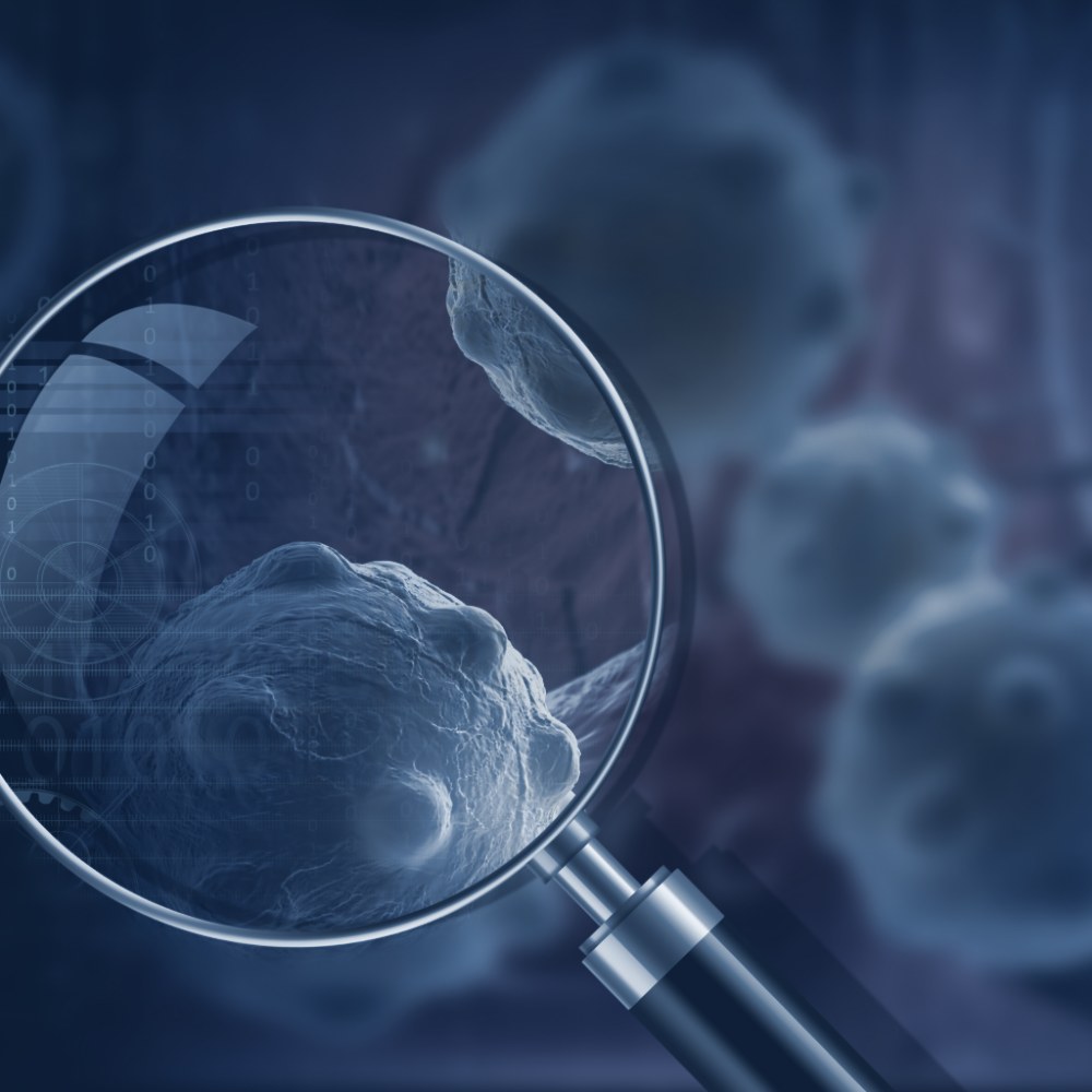 Lupa sobre células: evidencia científica